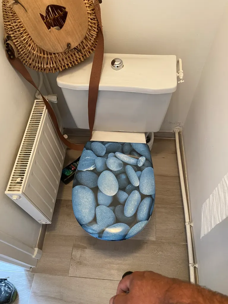 Rénovation toilettes par Éclat d'Idée à Rives de l'Yon : ancien WC classique avant les travaux